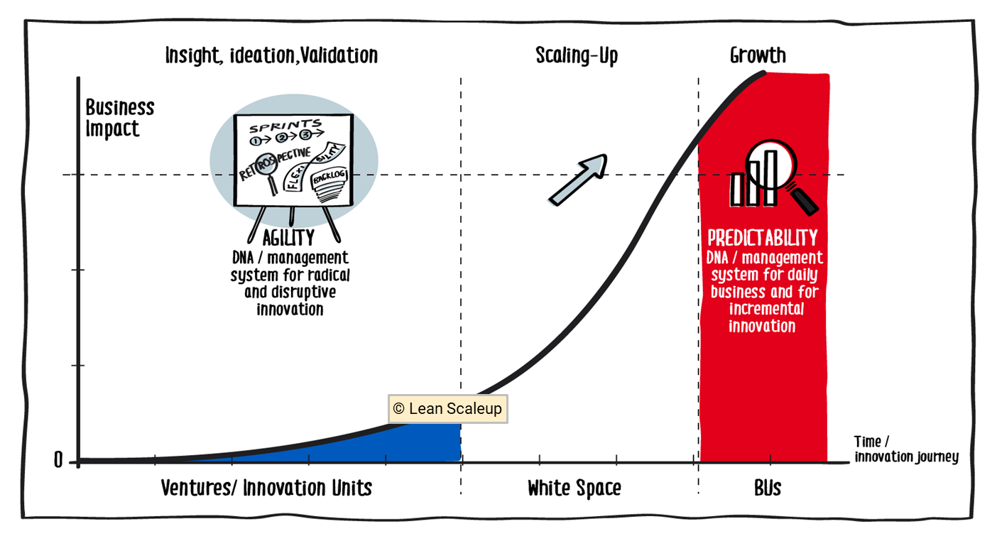 Lean Scaleup Roundtable: How to transition to Scaling-Up?