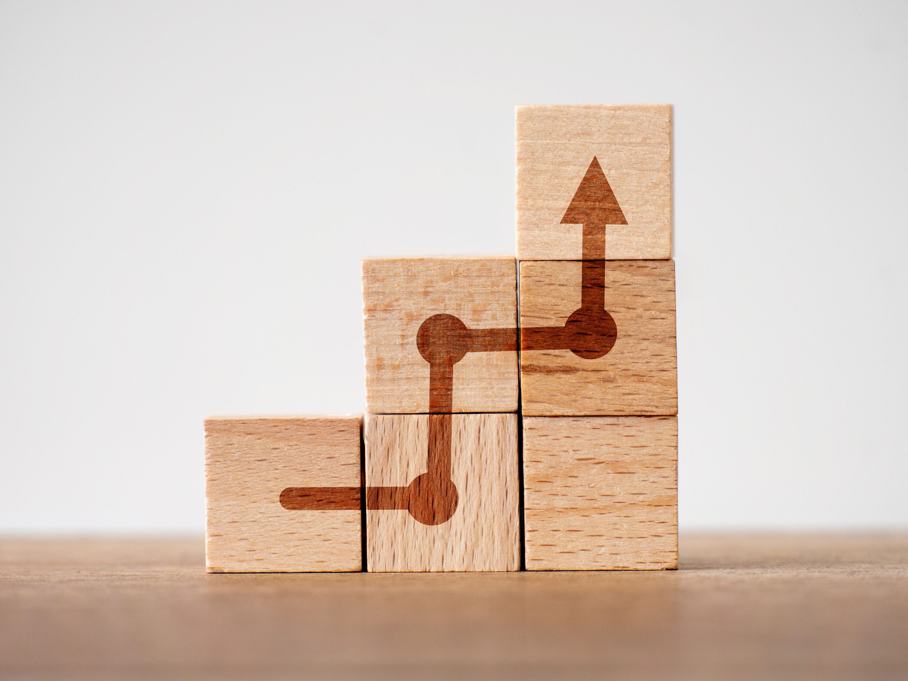 White Paper: The Balanced Growth Strategy